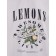 Female T -shirt, size s, white color
