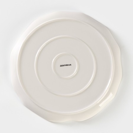 Plate porcelain dining shares "Milky Way", D = 25 cm, white color in plain-3