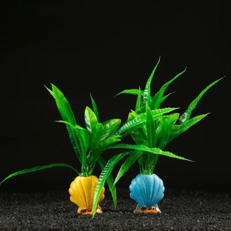 Decor for the aquarium "Blinding shell", 8 x 5 x 20 cm