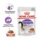Wet RC Sterilated food for sterilized cats, in sauce, spider, 85 g