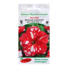 Flowers of Petunia multi -flowered 