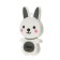 Flash drive Mirex Rabbit Grey, 8 GB, USB2.0, "rabbit", Thu up to 25 Mb/s, PBU up to 15 Mb/s