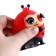 Square "God's ladybug"