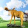 Garden figure "Elk on a stone" from the polystone good souvenirs, 52 cm, large, brown