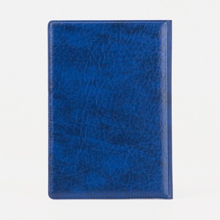 Cover for passport, blue color-2