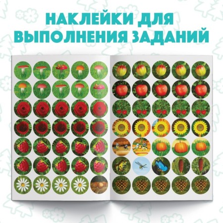 Kruzhoki stickers “Where is what growing?”, 16 p., A5, Masha and the bear-2