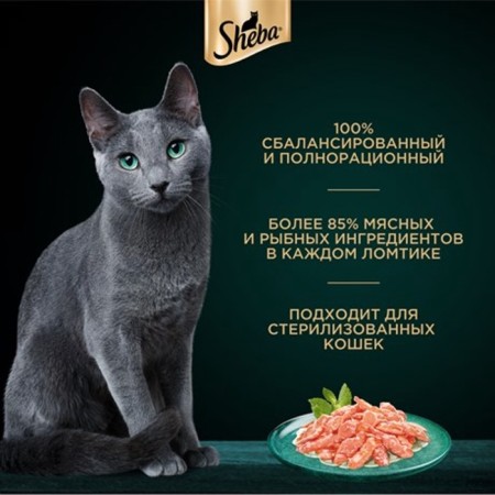 SHEBA wet food for cats, salmon, spider, 75 g-2