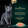 SHEBA wet food for cats, salmon, spider, 75 g