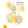 New Year! Gypsum from gypsum "Magic Mi"