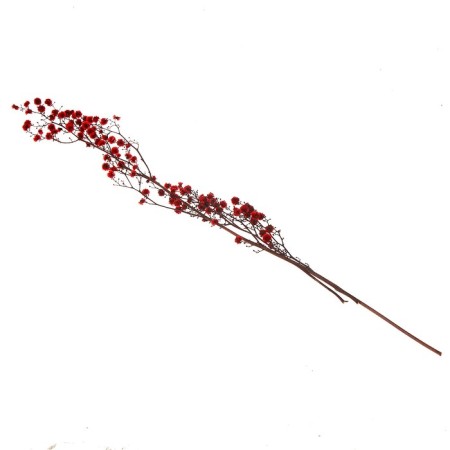 Dry flowers “Molchy Mile”, 25 g, length - 70 cm, red color-3