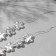 Plastic beads on the threads "pearl" flower 1.8 × 1.8 × 1 cm, (set 40 beads), white color