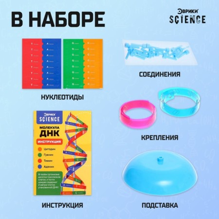 Set for experiments "Molecule DNA"-1