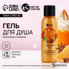 Shower gel, 100 ml, spicy ale aroma, pure happiness