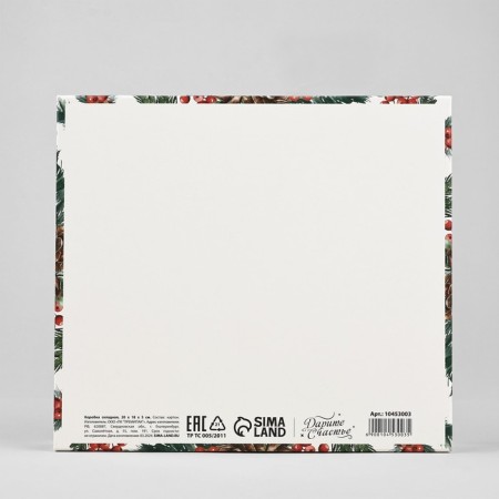 Box a gift New Year's folding "New Year's watercolor", embossing, 20 x 18 x 5 cm, New Year-3