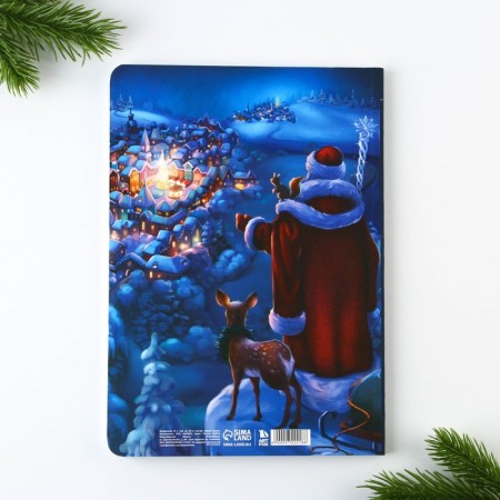 New Year. Diary Soft cover Software Tach, 24 x16.5 cm, 80 sheets "Winter Tale"-4