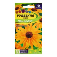 Seeds Rudbekia 