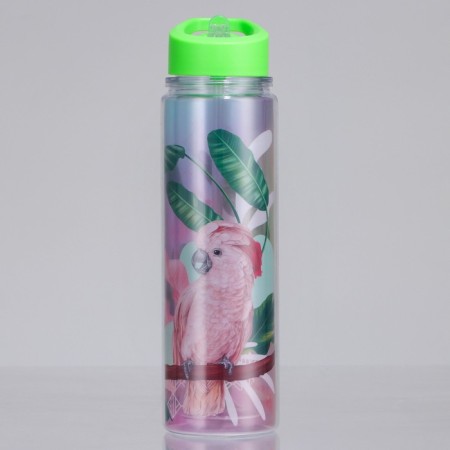 Water bottle "Parrot", 550 ml-1