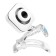 Camera OK-C8812 White 0.3MPIX (640x480) USB2.0 with a microphone