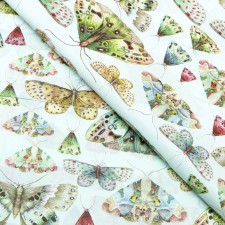 Paper Pacific, 
