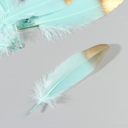 A set of goose feathers 15-20 cm, 10 pcs, mint with gold-3