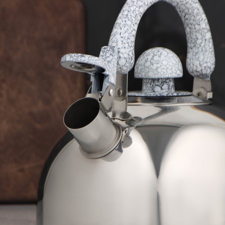 A kettle with a stainless steel whistle “marble”, 3 l, a fixed handle, chrome color-3