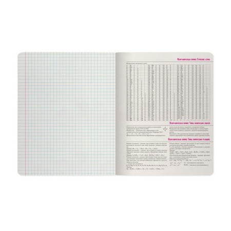 The subject of the "raspberry", 48 sheets in the Chemistry cell, cardboard cover, SoftTouch lamination-3