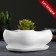 Bonsai Pot Small White, 0 6 l/ 14x18cm