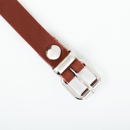 Bordordnik leather, size 26 (English cocker spaniel, fox terrier, shallow like), cognac-5