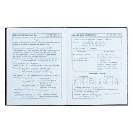Diary for grades 1-4, 48 sheets "Fairy", hard cover cardboard 7BC, glossy lamination, cheat sheet, 65 g/m2-12