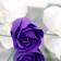 Soap roses, purple and white, set of 9 pcs.