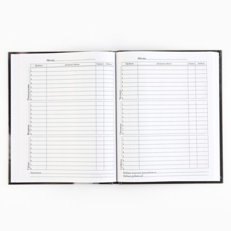 School diary 5-11 grade, in a solid cover, 48 liters. "Humility"-3