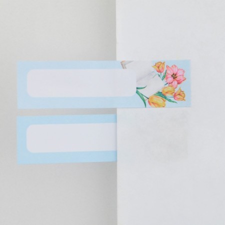 Set in the postcard "Owls", stickers of 4 x 20 sheets, a detachment block of 30 sheets-7