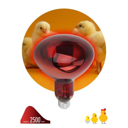 Infrared lamp ERA IKZK 220-250 R127 The multiplicity of 1 pc e27 / e27 for heating animals and lighting-1