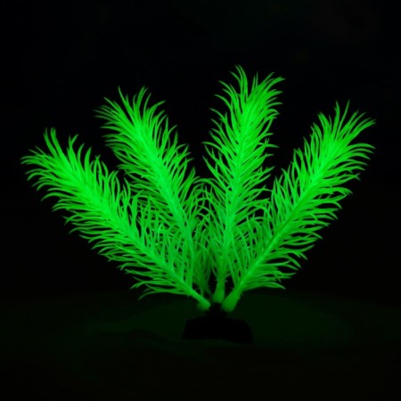 The plant is artificial aquarium, luminous, 10 cm, green-5