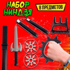Ninja Ninja 
