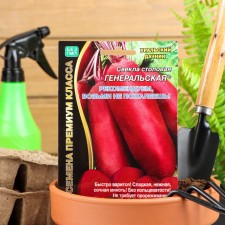 Beetroot seeds 