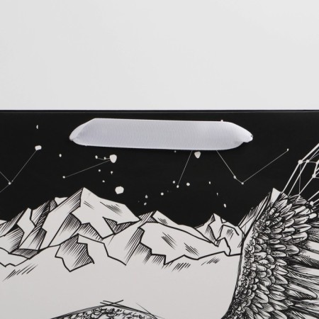 Package Gift Laminated Horizontal, Packaging, "Eagle", M 25.5 x 30 x 9 cm-3