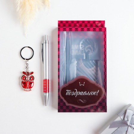 Gift set 2V1 (pen, Owl keychain) mix-1