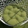 Billy swing pillow, diameter 60 cm, herbal color