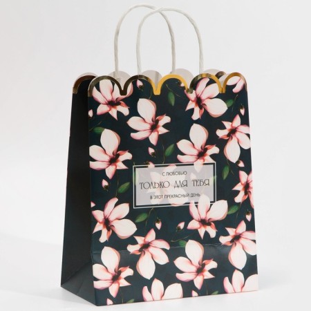 Gift Craft Package, Packaging, For You, 18 x 23 x 10 cm-2