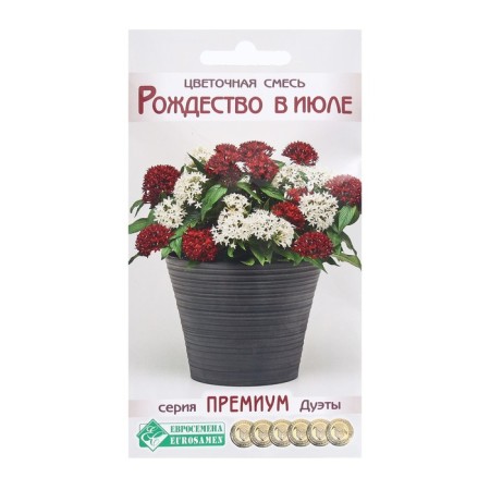 Flower seeds Flower mixture Christmas in July, 4 dragees