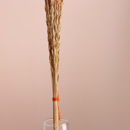 Set of dried flowers "Raigrace", banch 21 pcs, length 60 (+/- 6 cm), orange-1