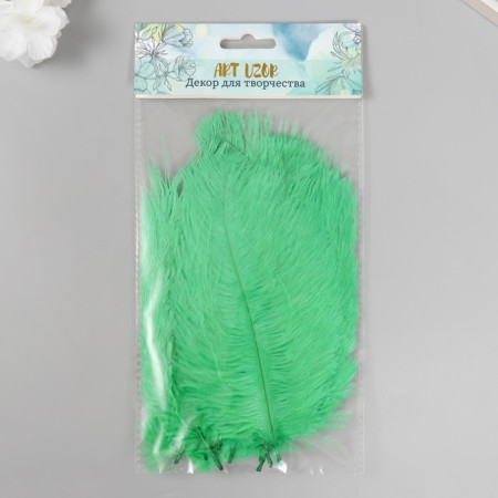Decorative ostriches "Emerald" h = 15-20 cm-2