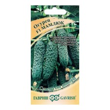 Cucumber seeds 