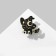 The icon "cat" is a witch on a broomstick, the color is black in gold