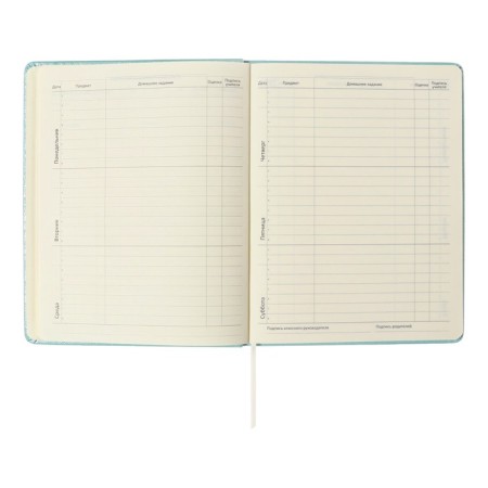 Universal diary for grade 1-11 Leaf, solid cover, artificial leather, foam, embossing foil, liesse, 80 g/m2-6