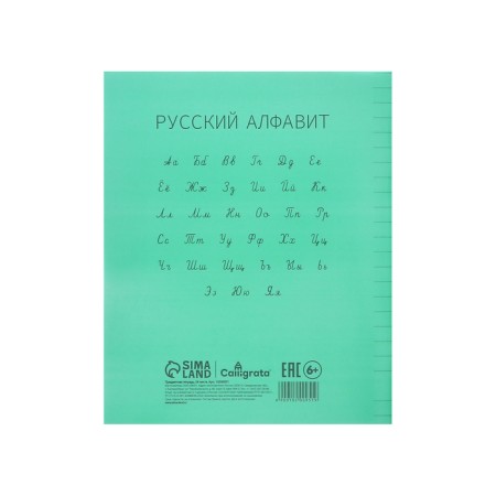 Notebook 24 sheets in the Calligrata "Green" line, plastic cover, with alphabet, offset block-5
