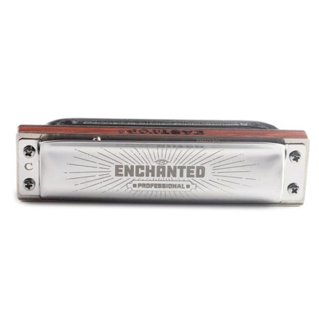 Harmonic harmonica EASTTOP, Pro30 E, diatonic
