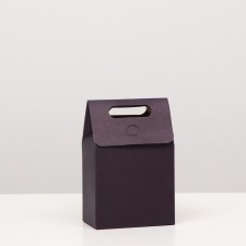 Box-pack with a handle, 15 x 10 x 6 cm