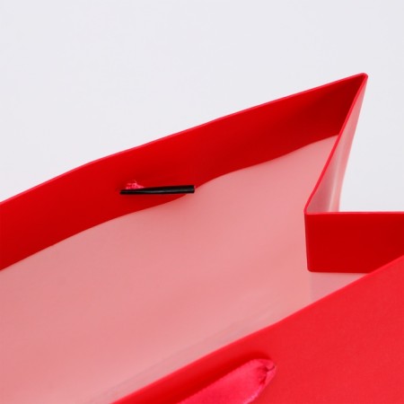 Laminated package "Fuchsia", MS 23 × 18 × 10 cm-3
